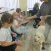 ZAJĘCIA Z DOGOTERAPII W ŚWIETLICY ŚRODOWISKOWEJ 