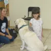 Zajęcia z dogoterapii